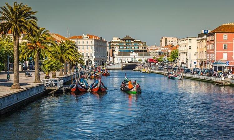 Vivendas Alves Pinho Santa Maria da Feira Dış mekan fotoğraf